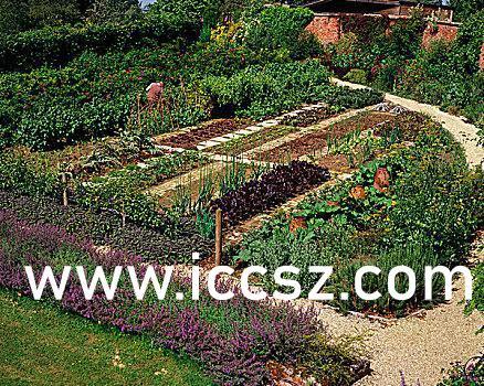 色花堂国产,传统与现代交融的东方美学之旅