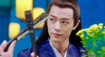 娱乐圈吃瓜肖战王一博,娱乐圈的甜蜜瓜田，揭秘兄弟情深背后的故事